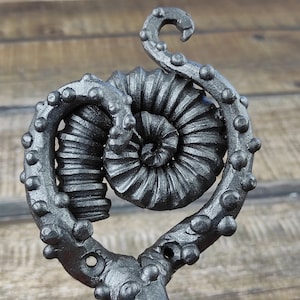 Puede incluir: Una escultura de metal de color plateado de un amonite rodeado por un tentáculo de pulpo. La escultura está detallada con líneas y protuberancias texturizadas.