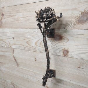 May include: A bronze door handle shaped like a flower with a long stem. The handle is mounted on a wooden wall.