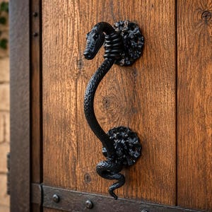 May include: A black, ornate door handle in the shape of a snake, mounted on a wooden door. The handle features a detailed snake head and body, with decorative circular mounting plates. The door is made of vertical wooden planks.