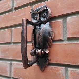 May include: A black metal owl door knocker with a brown patina finish. The owl has a detailed design with large eyes and a ring for knocking.