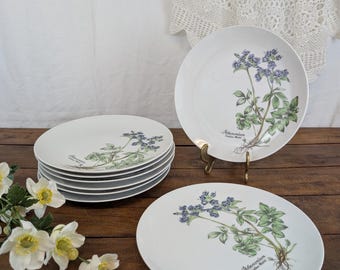 8 Mobile Botanical Plates