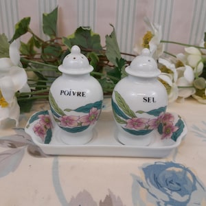 Paris porcelain salt cellars