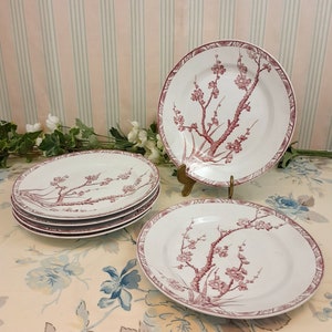 6 Longwy Aubépine dinner plates