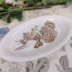 Porcelain dish with brown daisy decoration