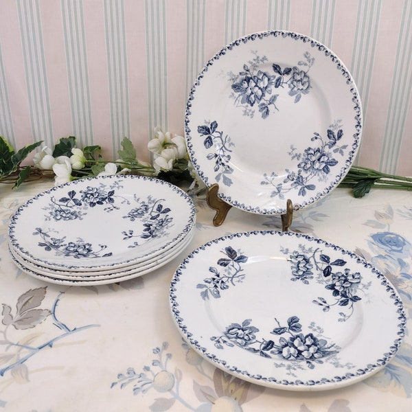 6 Assiettes plates Acacia Saint Amand