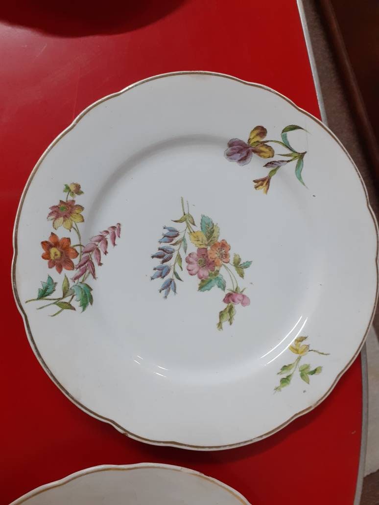 10 Assiettes Longchamp Bourgogne 21cm de Diamètre