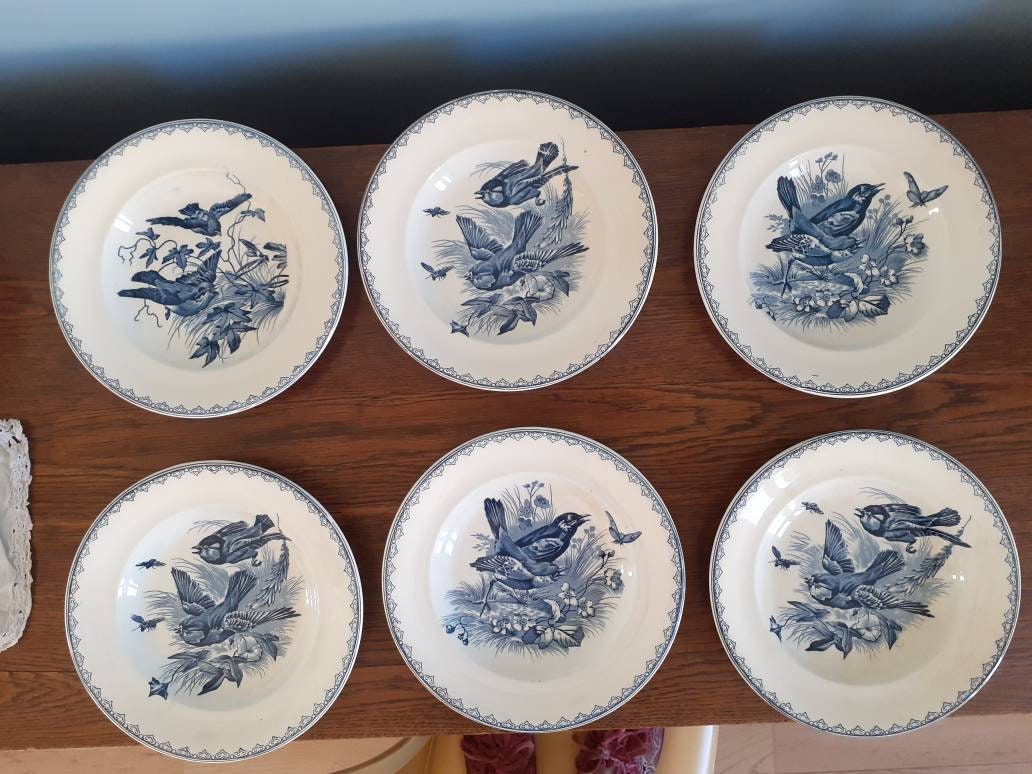 6 Assiettes Creuses Été Clairefontaine