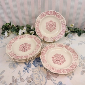 Longchamp Bella pink deep plates