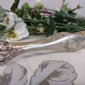 Silver metal sugar tongs