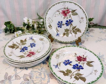 6 Assiettes plates Creil et Montereau modèle "Bleuets"