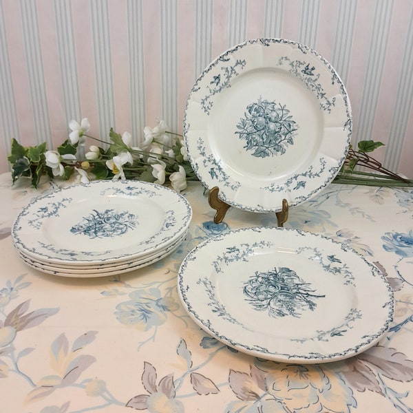 6 Assiettes plates Pompadour Clairefontaine