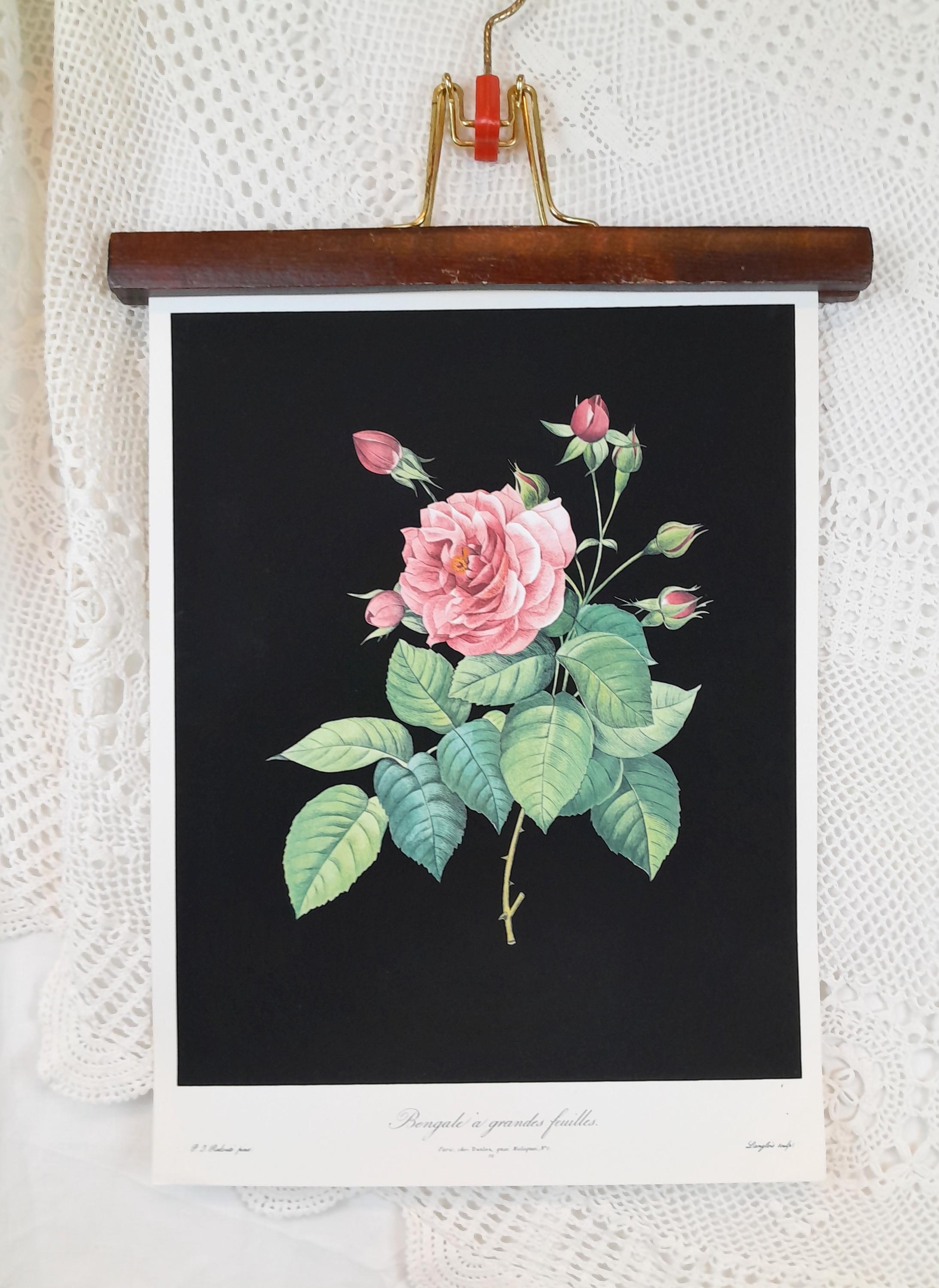 P J Redouté Roses - Etsy - Page 3