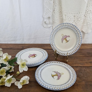 6 Rovina Épinal Lunéville dessert plates