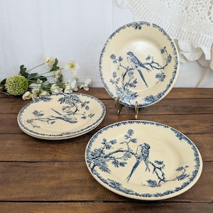Puede incluir: Tres platos redondos de cerámica con base de color crema y patrones azules. Cada plato muestra una ilustración detallada de un pájaro posado en una rama de pino, con un borde a juego de agujas de pino alrededor del borde exterior.