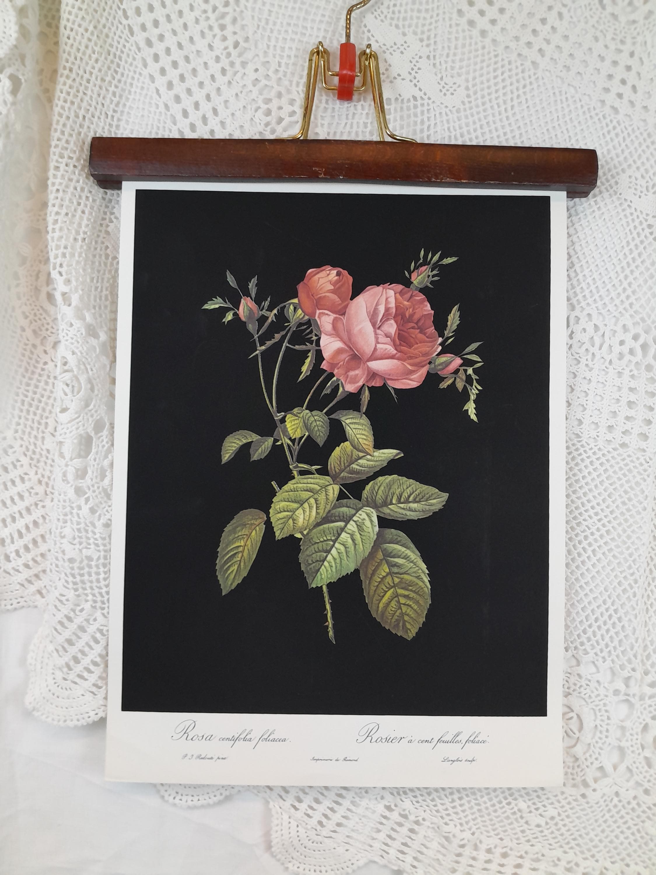 Pj redoute - Etsy 日本