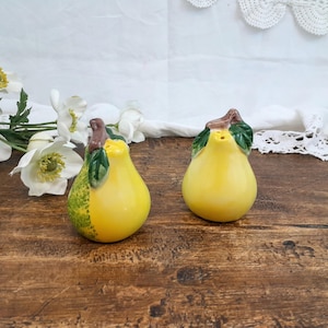 Salt and pepper shakers in pear slip