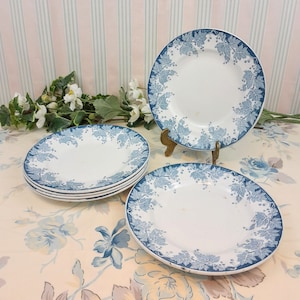 6 Saint Amand Platane dinner plates
