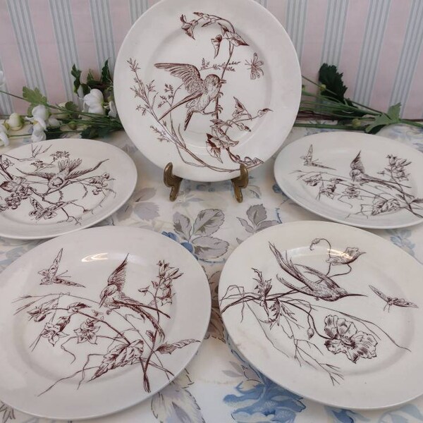 5 assiettes plates clairefontaine oiseaux médaille d'or