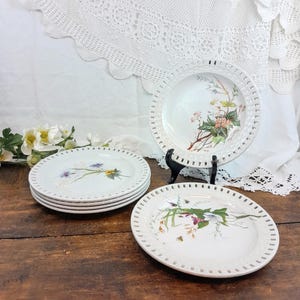 6 Sarreguemines openwork dessert plates