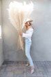 Dried PAMPAS GRASS (4 feet sold by stems) - Natural Dried Pampas Grass Decor 