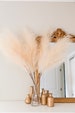 Faux PAMPAS GRASS 5 Stems Set Off White Pink or Taupe Neutral Dried Flower Arrangement Tall Fluffy Statement Boho Décor Artificial Plant 