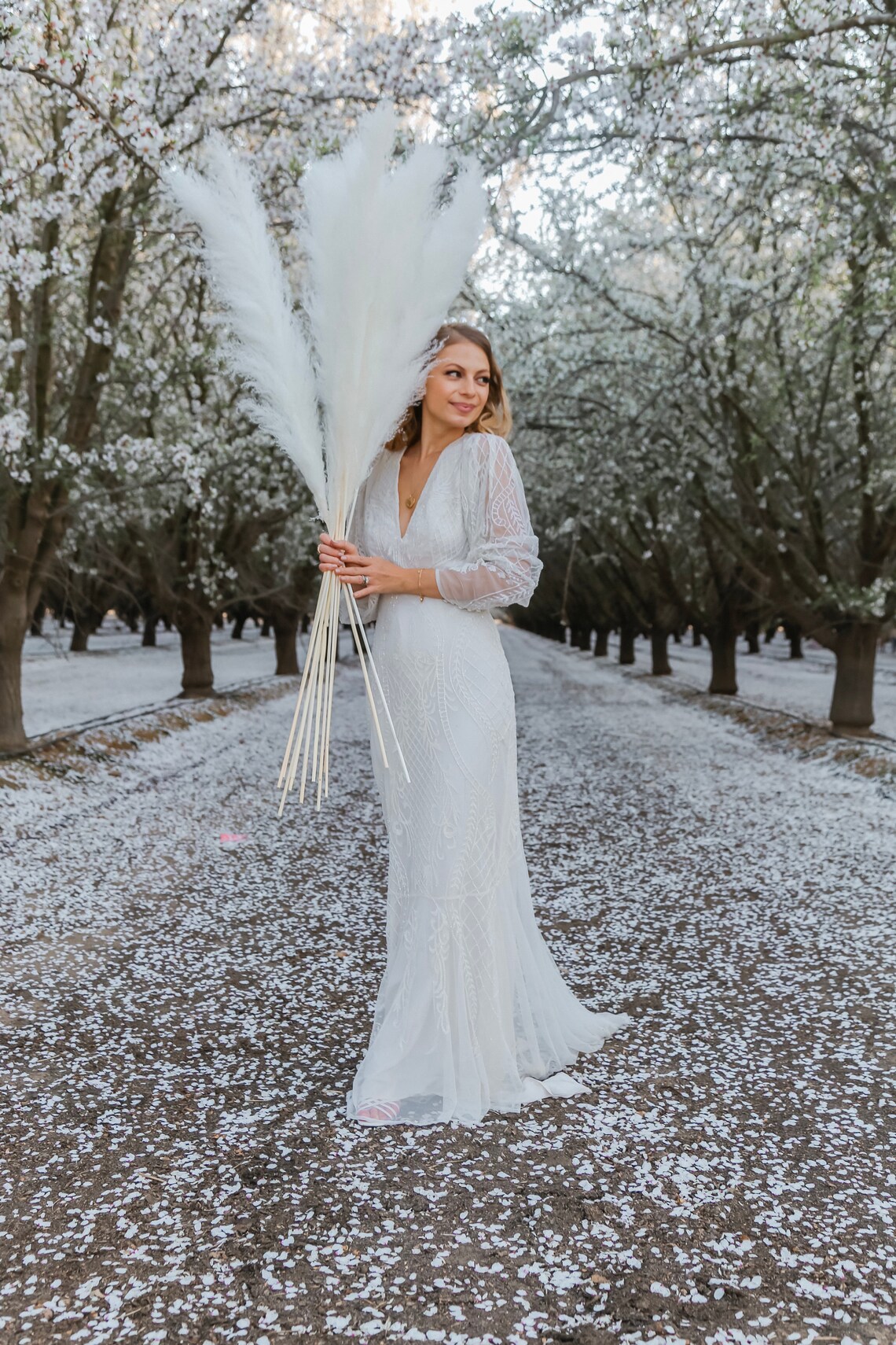 White PAMPAS GRASS 48 and 54 inches feet sold by stems Etsy