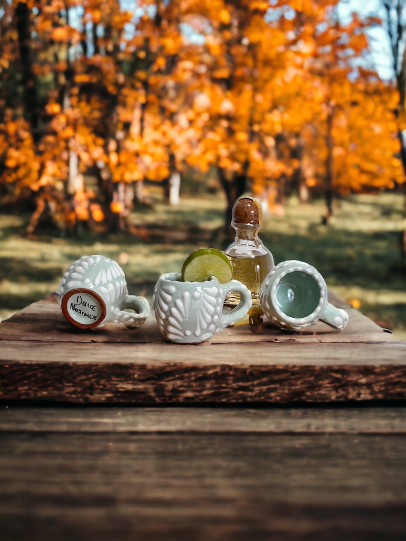 Äkta Talavera-shotglas med handtag | Handgjord mexikansk mezcalkopp | Blyfri GREEN
