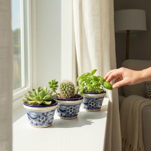Handgeschilderde talavera-aardewerk plantenbak | Mexicaanse keramische cactuspot