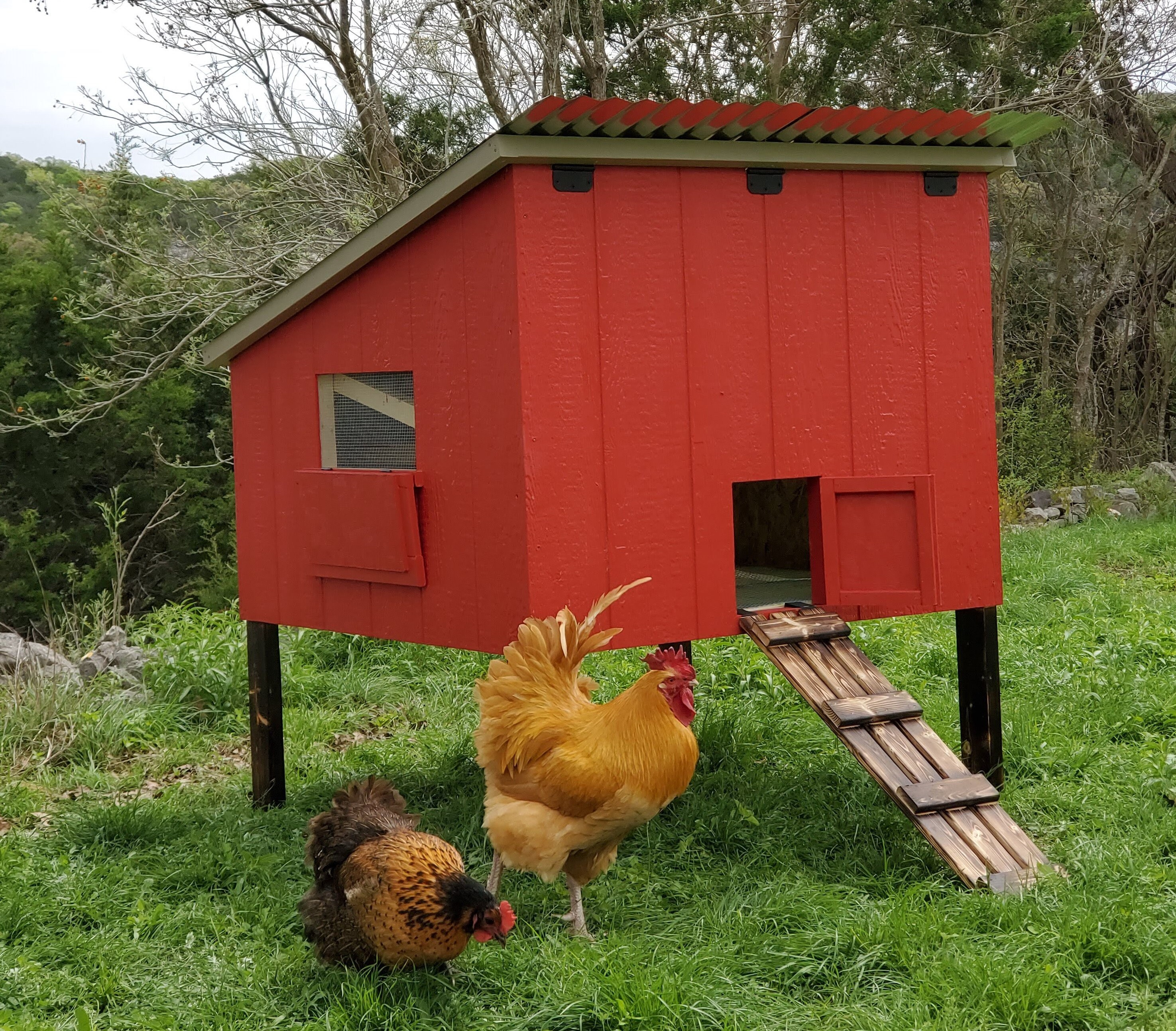 Starter Chicken Coop Etsy