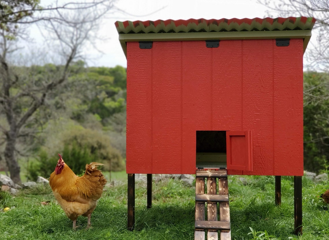 Starter Chicken Coop Etsy