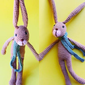 Könnte beinhalten: Zwei gehäkelte braune Hasen mit langen Ohren und grünen Schals. Die Hasen schauen sich an und scheinen sich an den Händen zu halten.