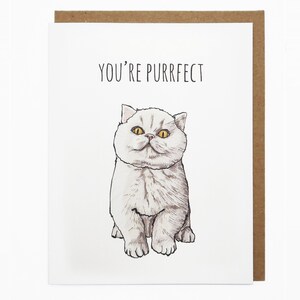 Liebe Karte, Katze Karte, Karte für sie, Karte für ihn, süße Tier-Karte, Pun Karte, süße Grußkarte - Sie sind Purrfect