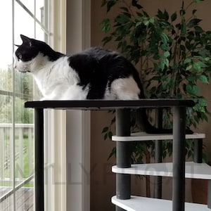 Cat Tree, 9 Step Spiral Cat Ladder, Cat Stairs with Cat Perch on top, Best Pet Furniture Idea (2023)