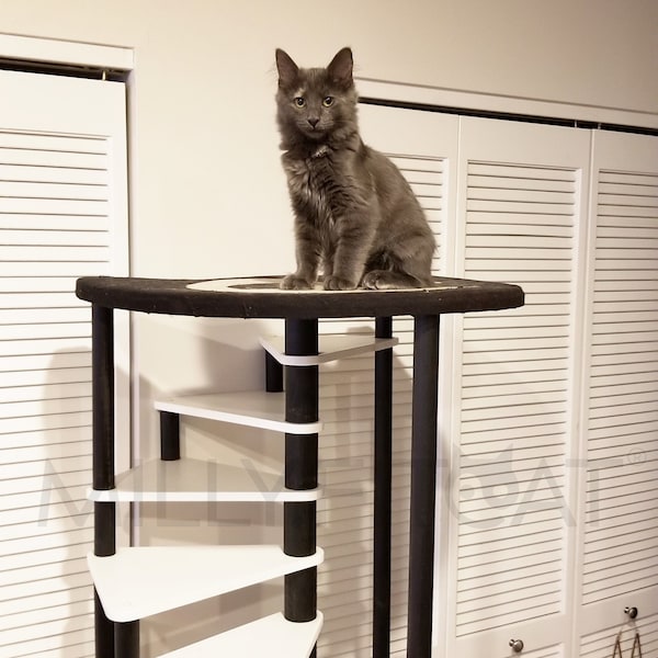 Cat Tree, 15 Step Spiral Tower, Best Modern Cat Furniture Idea 2023, Cat Stairs with Cat Bed at top.