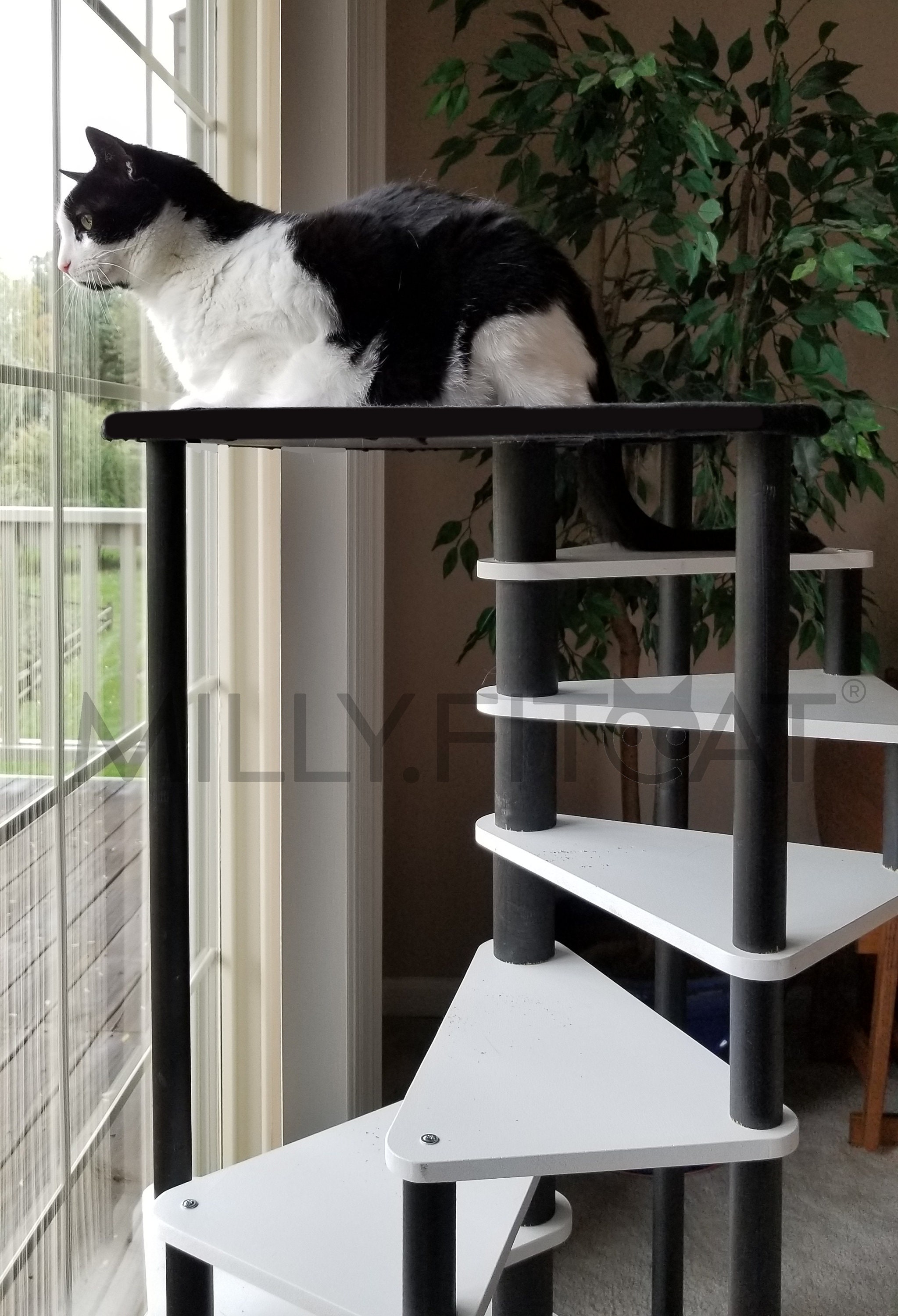 Cat Tree 9 Step Spiral Cat Ladder Cat Stairs with Cat Perch Etsy