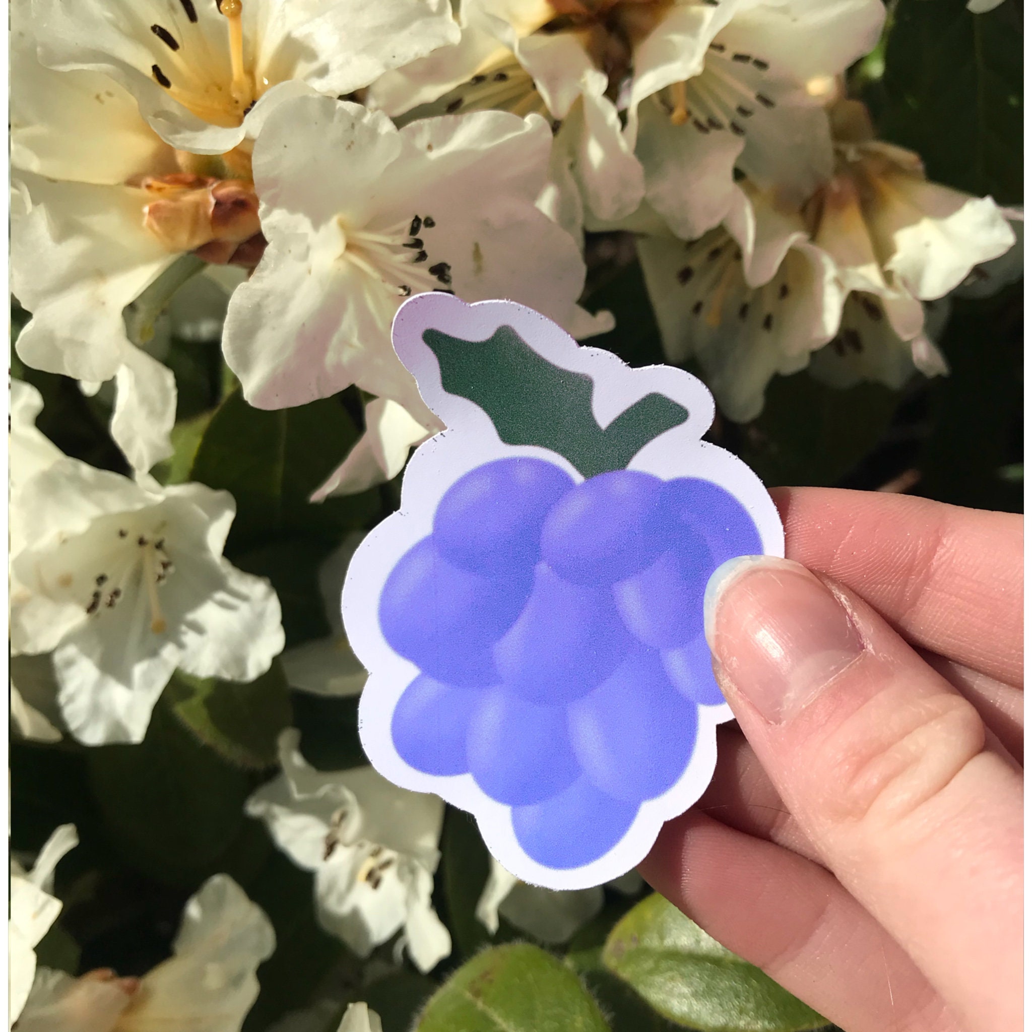 Vinyl Fruit Sticker 7 Pack Etsy