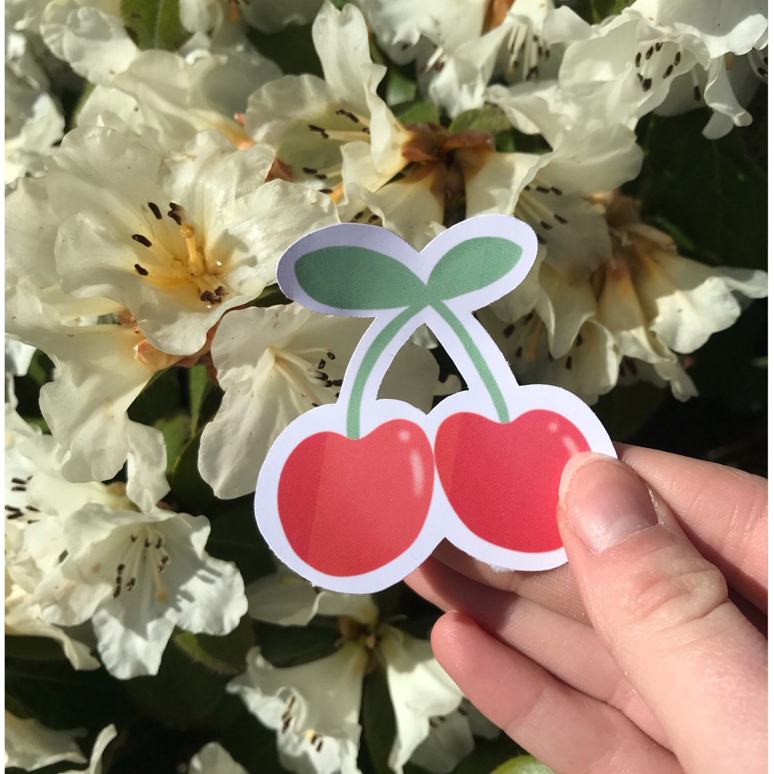 Vinyl Fruit Sticker 7 Pack Etsy