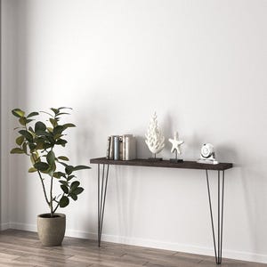 May include: A dark brown console table with black hairpin legs. The table is decorated with books, a white coral sculpture, a starfish, and a small clock. A potted plant is to the left.