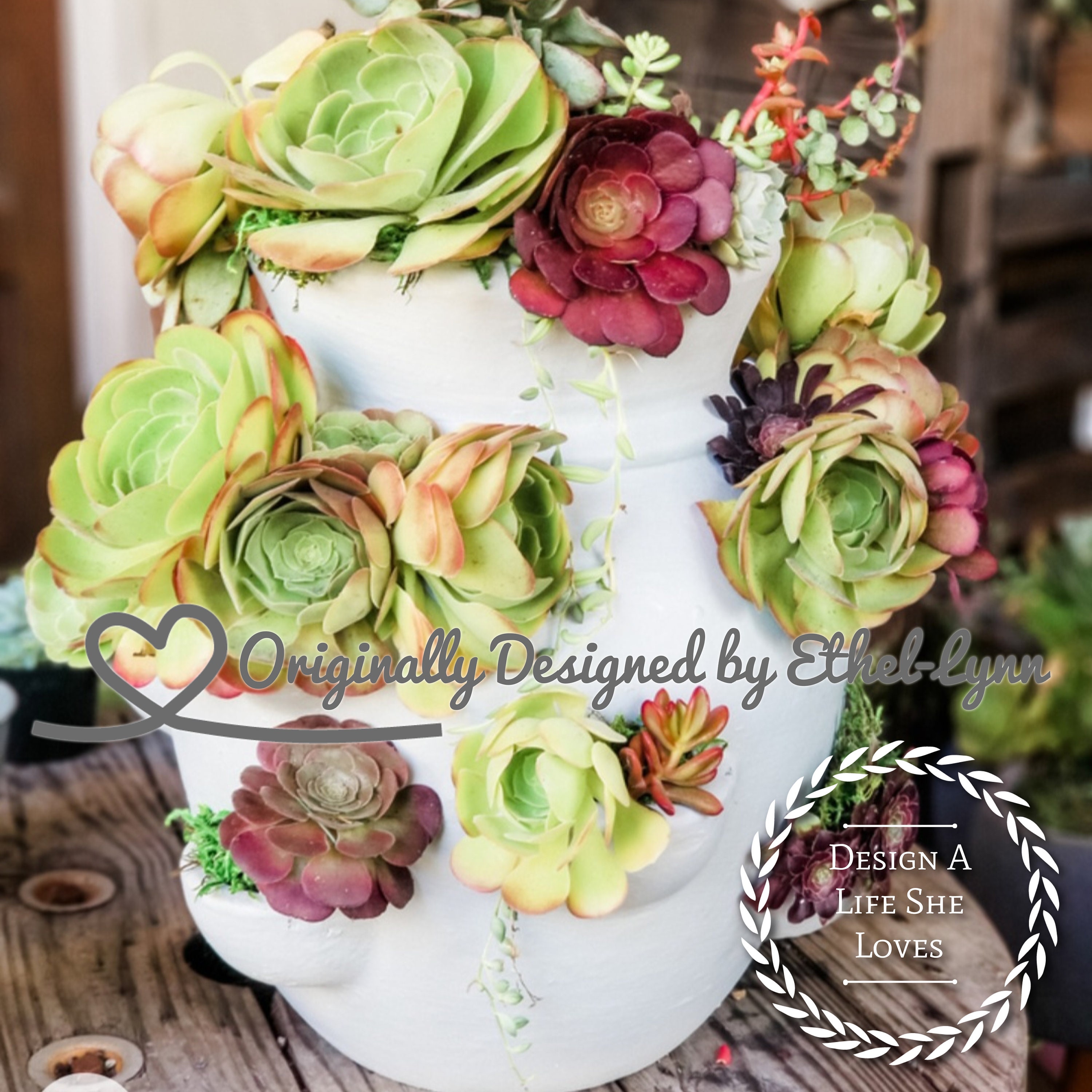 Strawberry Pot Succulent Design