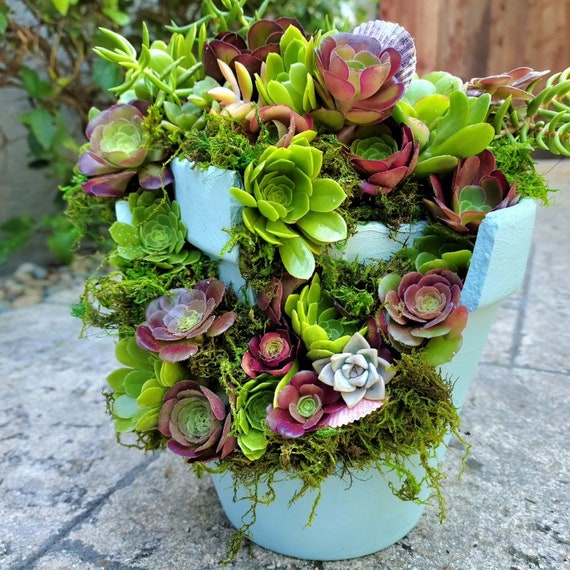 shallow pot planter Shallow Blue Ceramic Planter with Lip