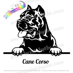 Peeking Cane Corso Dog Decal Tumbler Truck Car Window Laptop Hydro Flask Pet JDM Sticker 22 Variations Gift Idea