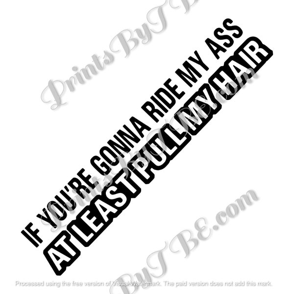 If You're Gonna Ride My Ass At Least Pull My Hair Car Window Decal Sticker 22 Variations Gift Ideas