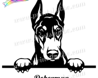 Peeking Doberman Pinscher Decal: Weatherproof Vinyl Sticker