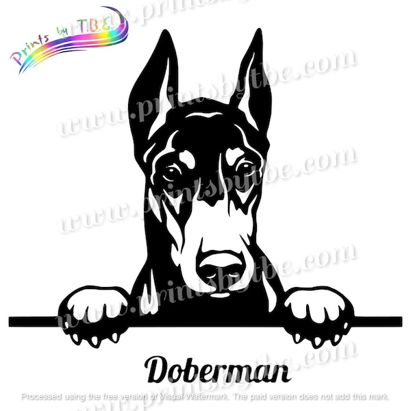 Peeking Doberman Pinscher Decal Stickers  Pet Dog Tumbler Car Truck Window Door Laptop Vinyl Weatherproof 22 Variations Gift Idea