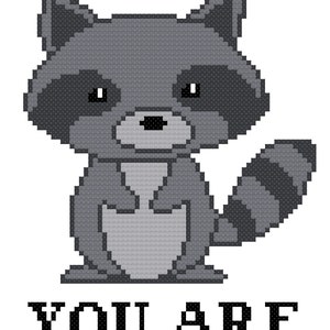 Pu&ograve; includere: Un'immagine pixelata in bianco e nero di un procione con il testo "To Me You Are Trash" sotto.