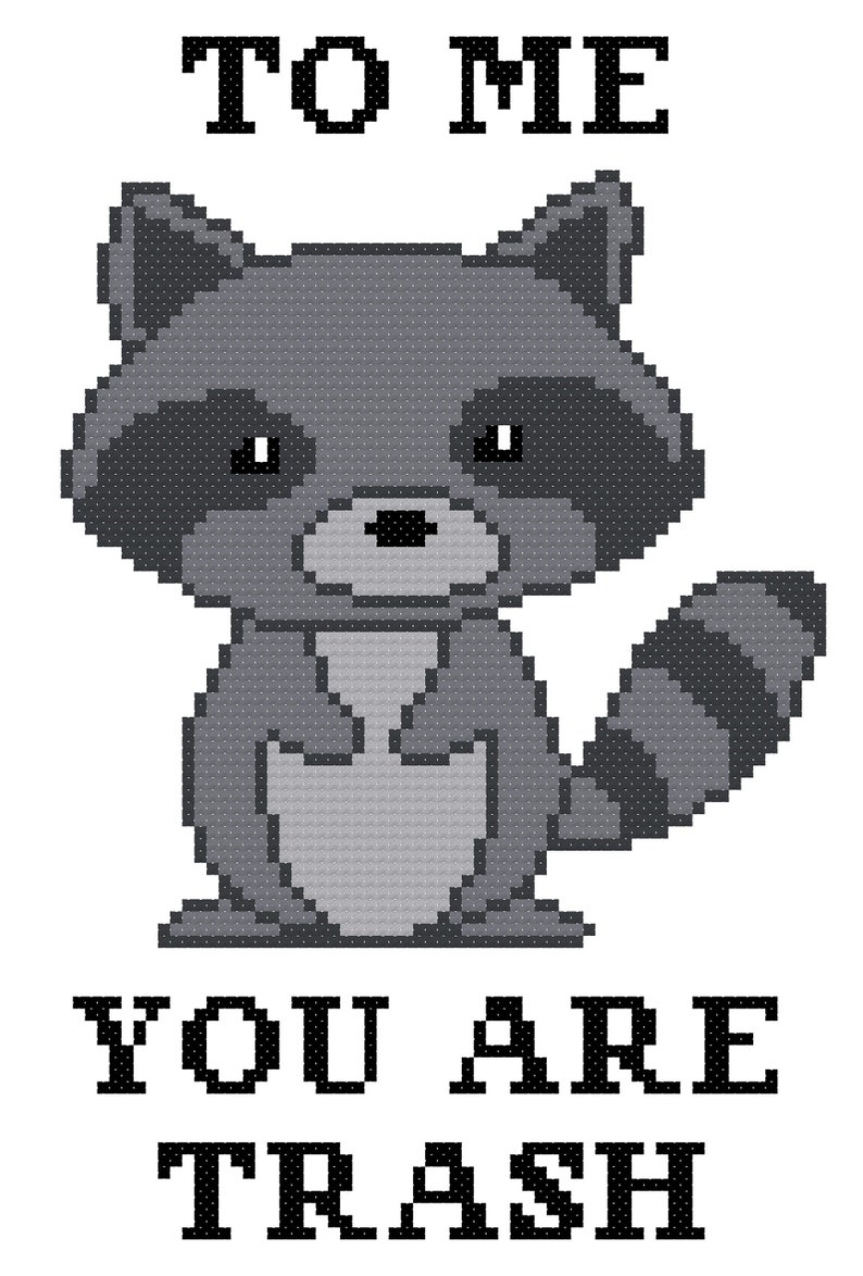Pu&ograve; includere: Un'immagine pixelata in bianco e nero di un procione con il testo "To Me You Are Trash" sotto.