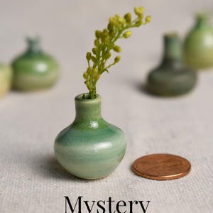 Puede incluir: Un pequeño jarrón de cerámica verde claro, de forma redondeada y cuello estrecho, que contiene una ramita con pequeños brotes amarillos. Una moneda de cobre está colocada al lado para comparar el tamaño. El texto 'Mystery Mini Vase' aparece abajo.