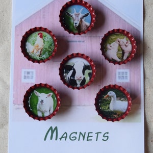 65 PCS Animal Magnets, Adorable Magnetic Animal with Name Fridge  Magnets-Wild Animal, Farm Animal & Marine Animal-Thickened Cardstock  Refrigerator
