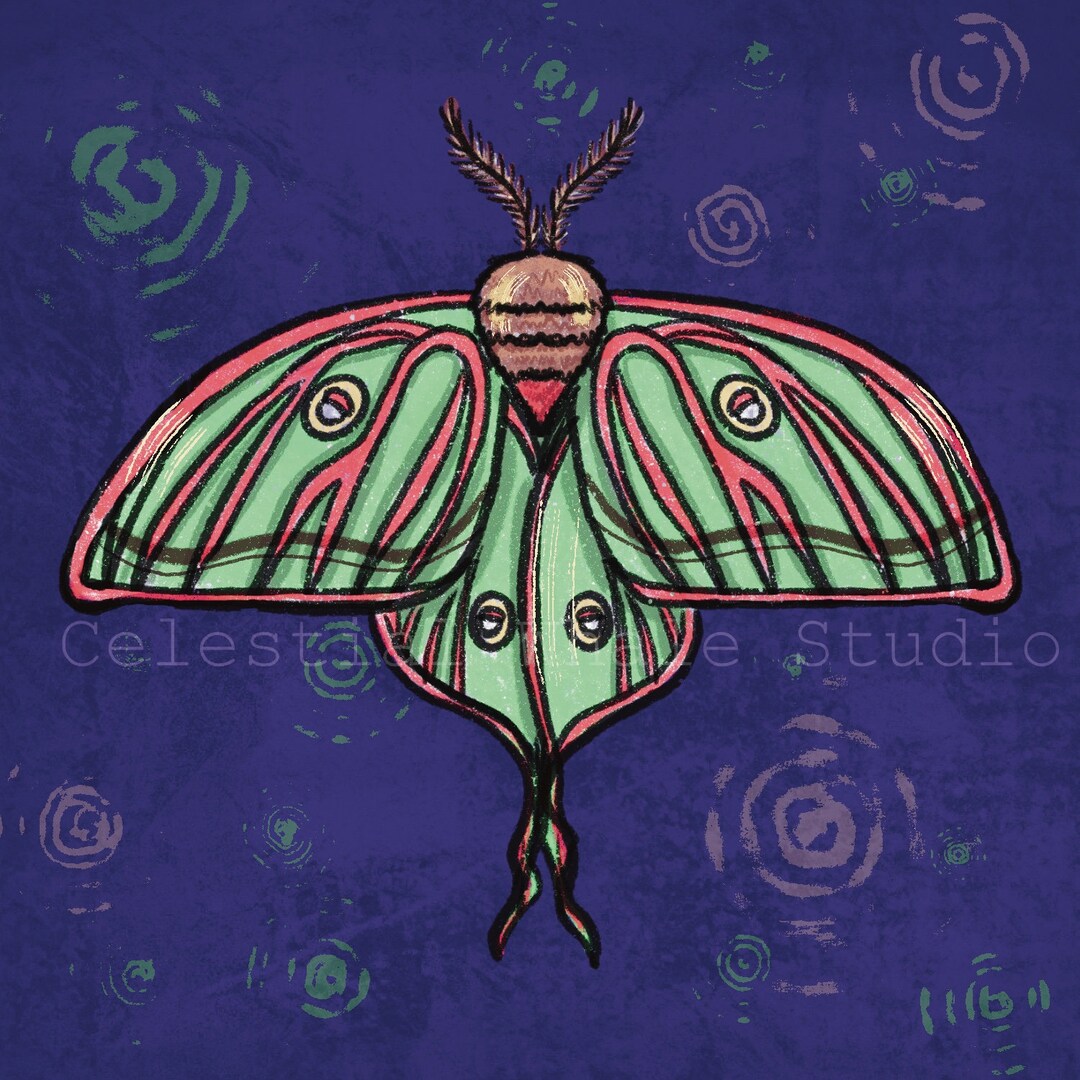 Spanish Moon Moth - 5x5 PRINT - Etsy