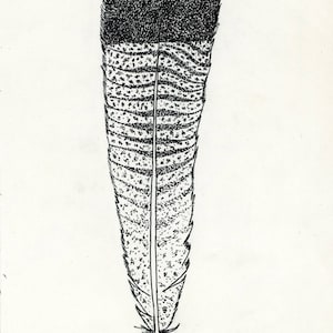 Abundance - Feather Postcard
